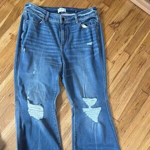 Lane Bryant Blue Distressed Flare Jeans